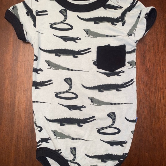 🐍🦎Kickee Bundle🦎🐍 - Picture 5 of 12